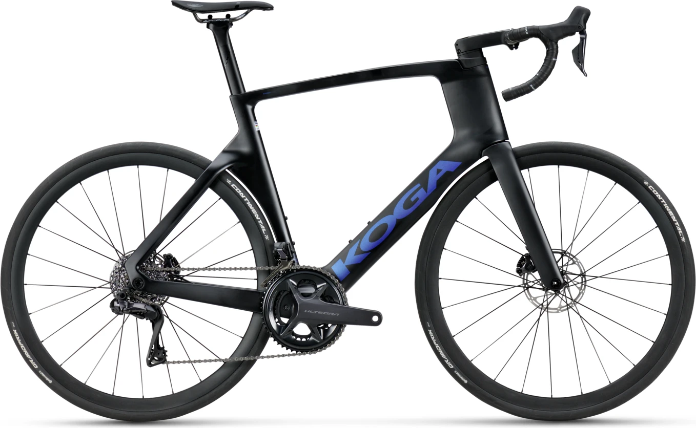 Koga Kinsei Prime 2023 1 Koga Kinsei Prime 2023